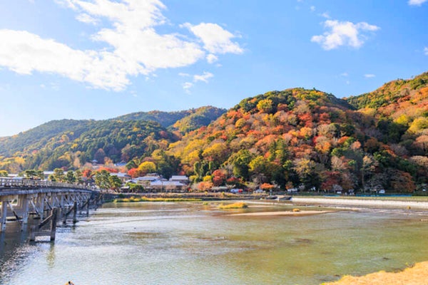 【茨城空港発】 <茨城県民の日スペシャルウィーク!スカイマークで行く!>紅葉の京都奈良12景めぐり 日本三名泉「有馬温泉」と食い倒れの街「大阪」3日間3